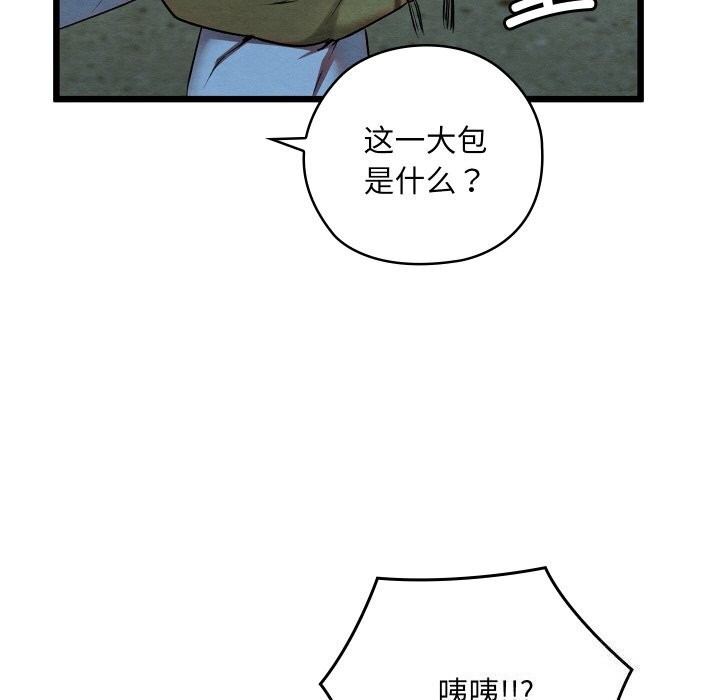 97.jpg