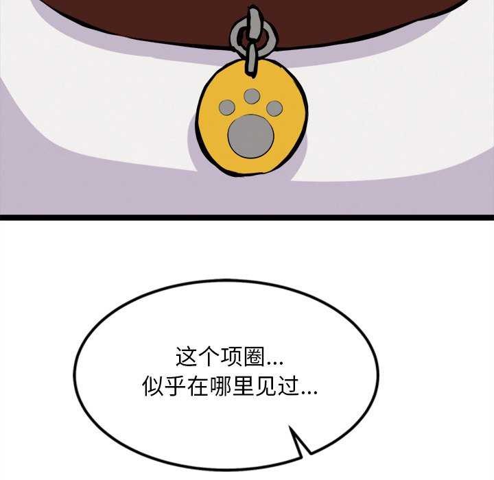 141.jpg