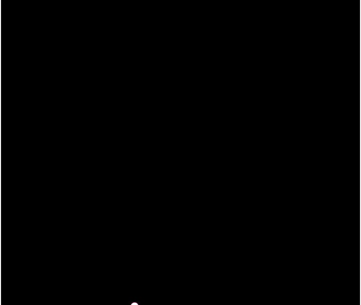 183.jpg