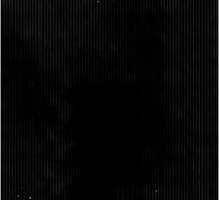 79.jpg