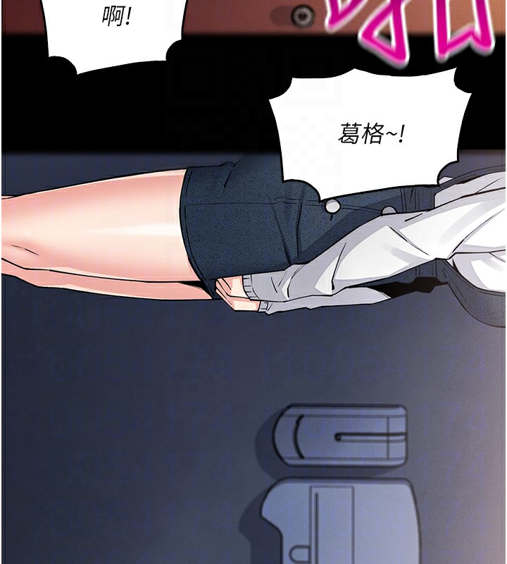81.jpg