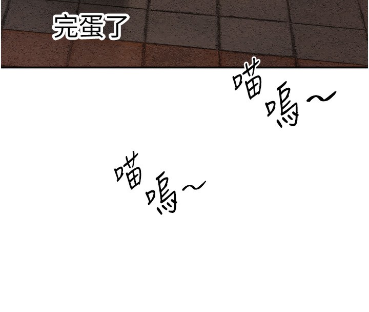 91.jpg