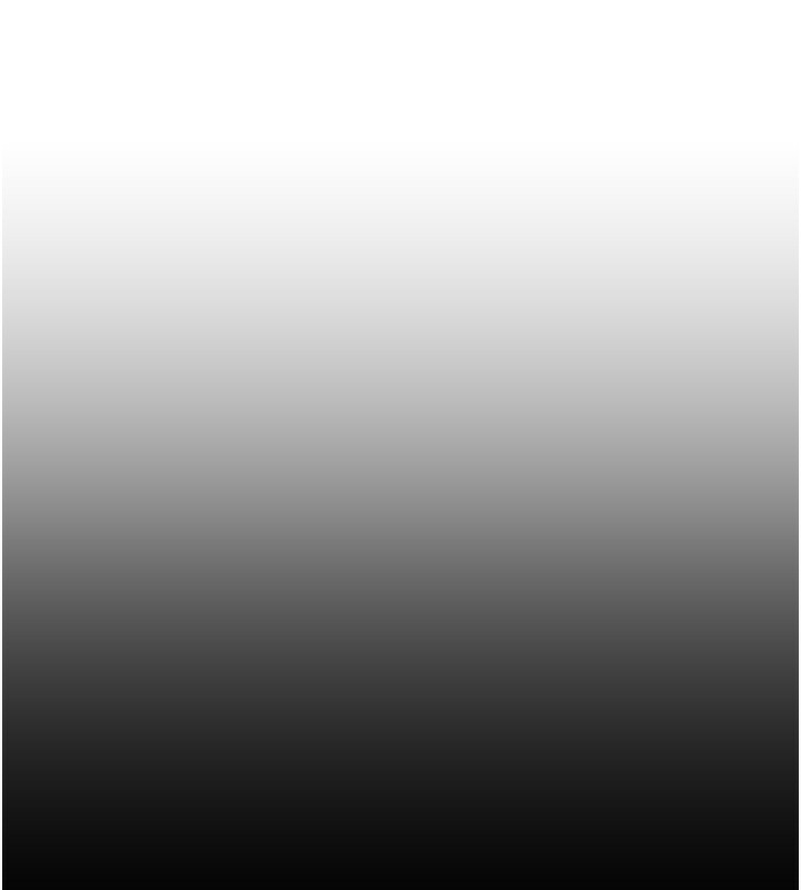 65.jpg