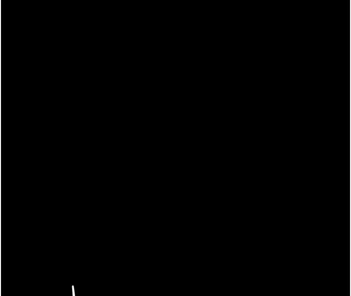 213.jpg