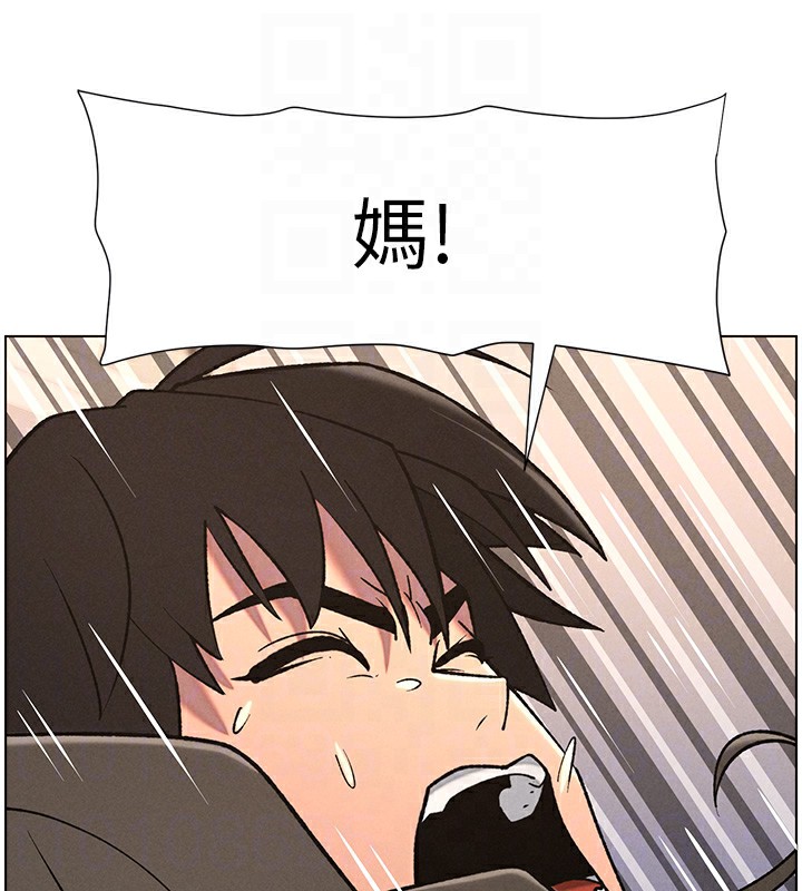 81.jpg