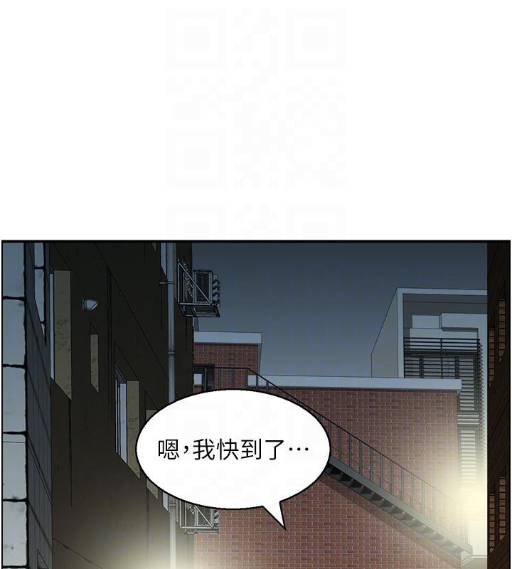 81.jpg